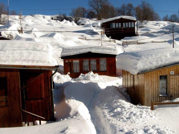 Campeggio Branchetto Hotel Bosco Chiesanuova Eksteriør billede