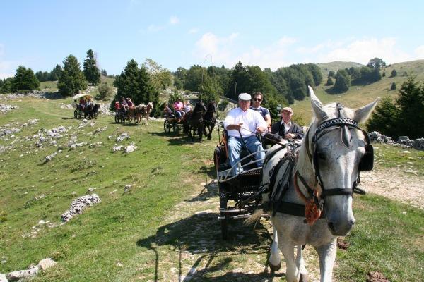Campeggio Branchetto Hotel Bosco Chiesanuova Eksteriør billede