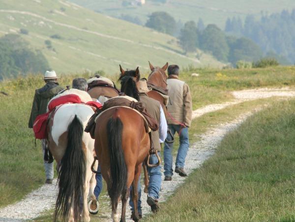 Campeggio Branchetto Hotel Bosco Chiesanuova Eksteriør billede